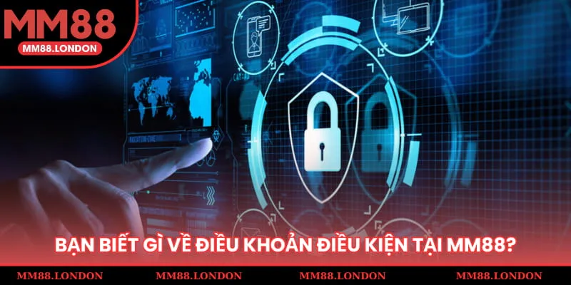 Bạn biết gì về điều khoản điều kiện tại MM88?